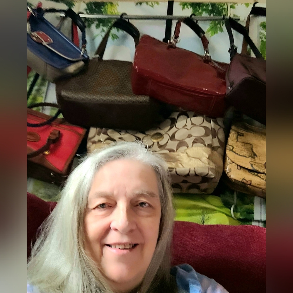 Tracy's bags & wallets Sunday share show 2pm est. - Picture 13 of 15